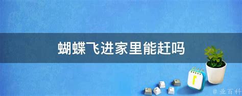 蝴蝶飞进家里不走|蝴蝶进门代表什么预兆